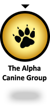 YOU ARE HERE: The Alpha Canine Group - offering a complete selection of canine training services YOU ARE HERE: The Alpha Canine Group - offering a complete selection of canine training services